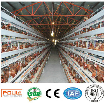 Hot Sale a Type Layer Poultry Battery Cages for Nigeria Chicken Farm